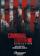 Criminal Minds (2005)