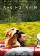 The Art of Racing in the Rain (2019)