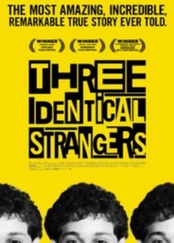 Three Identical Strangers (2018)