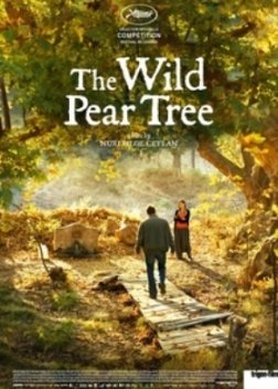 Η Άγρια Αχλαδιά / The Wild Pear Tree (2018)