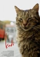 Kedi (2017)