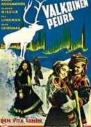 Valkoinen Peura (1952)