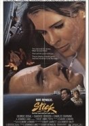 Ο κύκλος της βίας / Stick (1985)