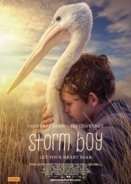 Storm Boy (2019)