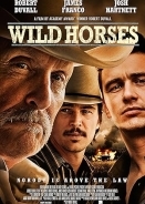 Wild Horses / Παγιδευμένος (2015)