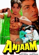 Η Συνεπεια / Anjaam (1994)