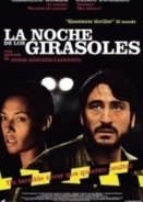 La noche de los girasoles (2006)