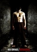 The Raid 2: Berandal (2013)