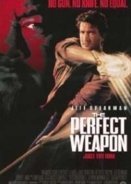 Το Τελειο Οπλο / The Perfect Weapon (1991)