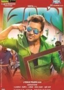 Masss 2015
