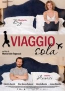 A Five Star Life / Viaggio sola (2013)