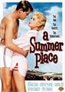 A Summer Place / Η ηδονή της αμαρτίας (1959)