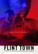 Flint Town (2018)