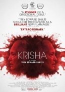 Krisha (2015)