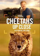 Γατόπαρδοι από Κοντά με τον Μπέρτι Γκρέγκορι / Cheetahs Up Close with Bertie Gregory (2026)