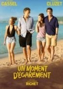 One Wild Moment 2015