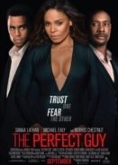 The Perfect Guy (2015)