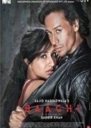 Baaghi (2016)