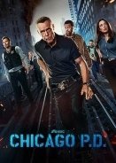 Chicago P.D. (2014)