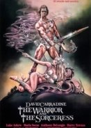The Warrior and the Sorceress (1984)
