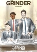 The Grinder (2015–2016) TV Series