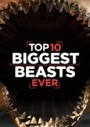 Top 10 Biggest Beasts Ever (2015)
