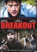 Μάρτυρες δολοφονίας / Breakout (2013)