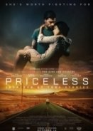 Priceless (2016)