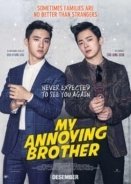 My Annoying Brother (2016)