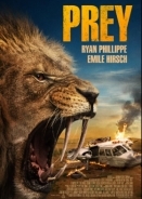 Prey / Kalahari (2024)