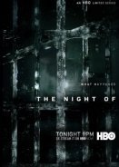 The Night Of (2016)