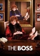 The Boss (2016)