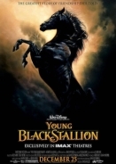 Καλπαζοντασ Σαν Τον Ανεμο / Young Black Stallion (2003)