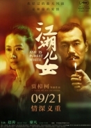 Οι στάχτες μιας αγάπης / Ash Is Purest White / Jiang hu er nü (2018)