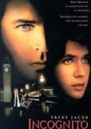Incognito (1997)