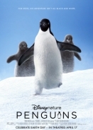 Penguins (2019)
