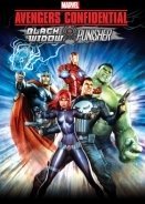 Οι εκδικητές εμπιστευτικό: Μαύρη χήρα & Τιμωρός / Avengers Confidential: Black Widow & Punisher (2014)