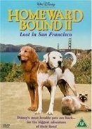 Homeward Bound II /  Lost in San Francisco (1996)