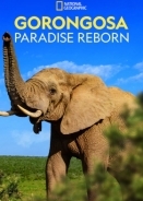 Gorongosa: Paradise Reborn (2022)