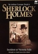 Sherlock Holmes: Incident at Victoria Falls (1992)