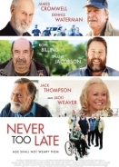 Never Too Late (2020)