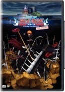 Bleach- Fade to Black 2008