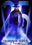 Survivor Series 2015