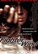Fighter in the Wind (2004)