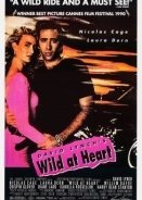Wild at Heart / Ατίθαση Καρδιά (1990)