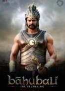 Bahubali  The Beginning (2015)