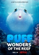 Puff: Wonders of the Reef (2021)