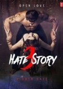 Hate Story 3 2015
