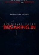Breaking In (2018)