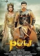 Puli 2015